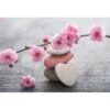 Blossom Stones Canvas Art -WALL ART DESGIN SALE blossom stones canvas art 45x30cm no frame 830085