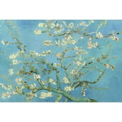 Blossoming Almond Tree By Van Gogh Canvas Art