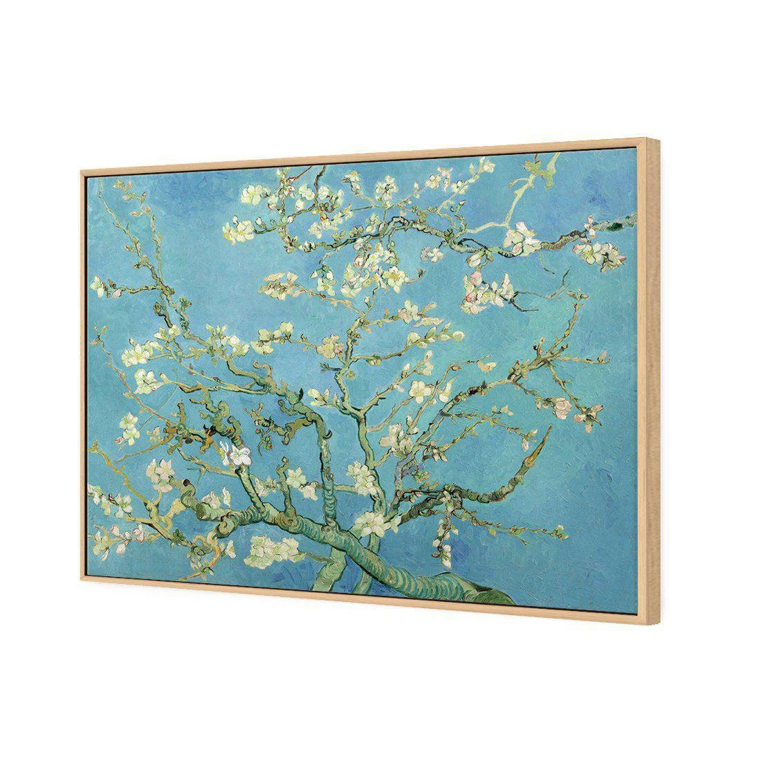 Blossoming Almond Tree by Van Gogh Canvas Art Blossoming Almond Tree By Van Gogh Canvas Art -WALL ART DESGIN SALE blossoming almond tree by van gogh canvas art 45x30cm oak frame 233712