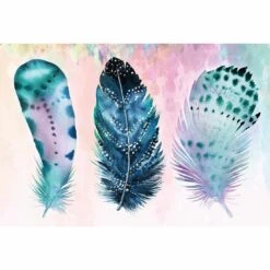 Boho Feathers, Rainbow Acrylic Print Art
