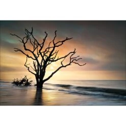 Botany Bay Sunrise Acrylic Print Art