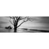 Botany Bay Sunrise, B&W Canvas Art 1 Botany Bay Sunrise, B&W Canvas Art -WALL ART DESGIN SALE botany bay sunrise bw canvas art 60x20cm no frame 518591