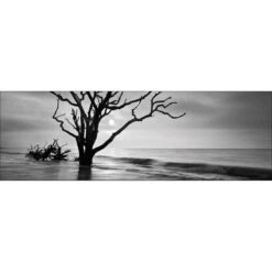 Botany Bay Sunrise, B&W Canvas Art
