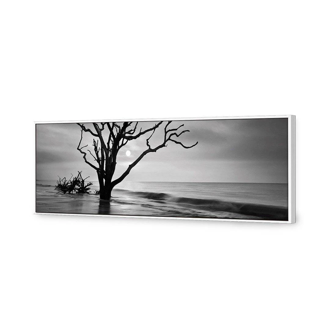 Botany Bay Sunrise, B&W Canvas Art Botany Bay Sunrise, B&W Canvas Art -WALL ART DESGIN SALE botany bay sunrise bw canvas art 60x20cm white frame 492955