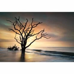 Botany Bay Sunrise Canvas Art