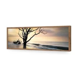 Botany Bay Sunrise (Long) 18 Botany Bay Sunrise (Long) -WALL ART DESGIN SALE botany bay sunrise long acrylic glass no border natural frame 90x30cm 530160