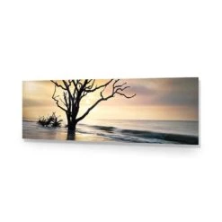 Botany Bay Sunrise (Long) 14 Botany Bay Sunrise (Long) -WALL ART DESGIN SALE botany bay sunrise long acrylic glass no border no frame 90x30cm 736724
