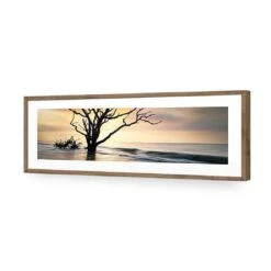 Botany Bay Sunrise (Long) 13 Botany Bay Sunrise (Long) -WALL ART DESGIN SALE botany bay sunrise long acrylic glass with border natural frame 90x30cm 119533