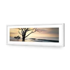 Botany Bay Sunrise (Long) 11 Botany Bay Sunrise (Long) -WALL ART DESGIN SALE botany bay sunrise long acrylic glass with border white frame 90x30cm 209659