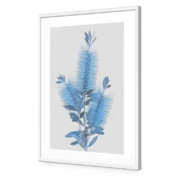Bottlebrush Abstraction 11 Bottlebrush Abstraction -WALL ART DESGIN SALE bottlebrush abstraction acrylic glass with border white frame 45x30cm 284658