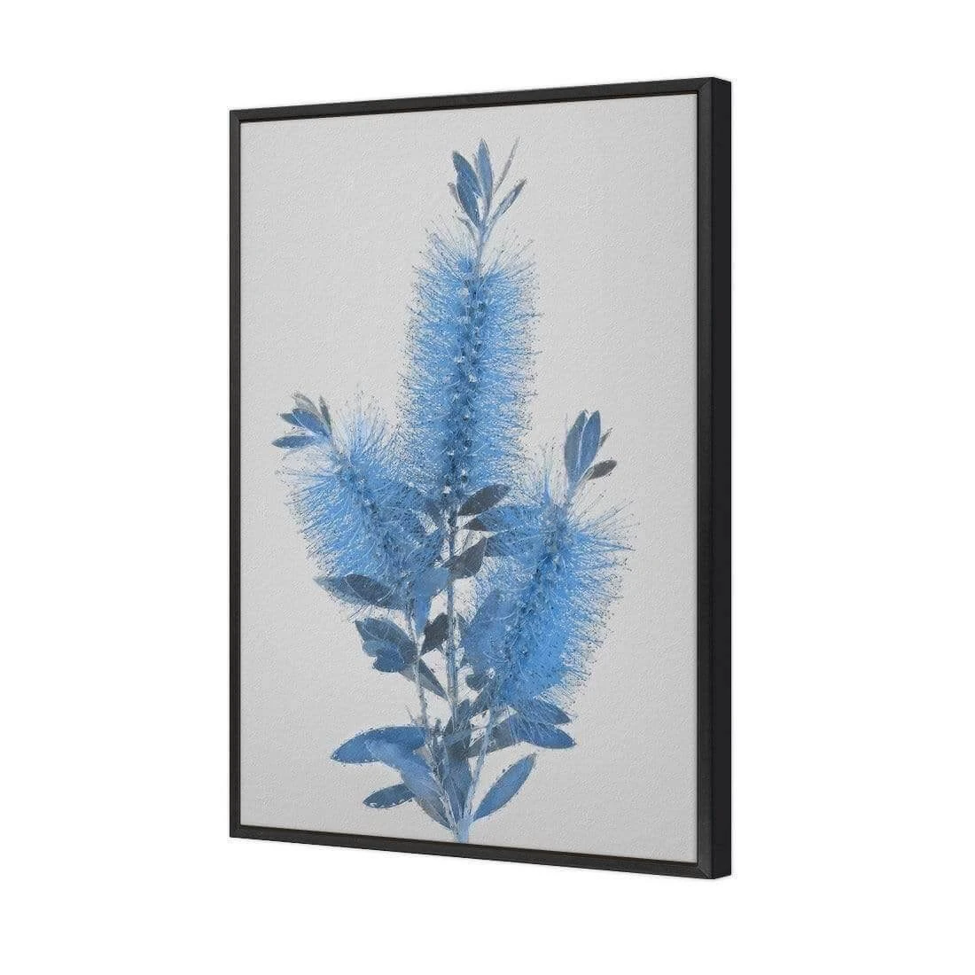 Bottlebrush Abstraction Bottlebrush Abstraction -WALL ART DESGIN SALE bottlebrush abstraction canvas black floating frame 45x30cm 103431