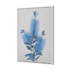Bottlebrush Abstraction 5 Bottlebrush Abstraction -WALL ART DESGIN SALE bottlebrush abstraction canvas white floating frame 45x30cm 459898