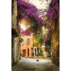 Bougainvillea Alley Canvas Art