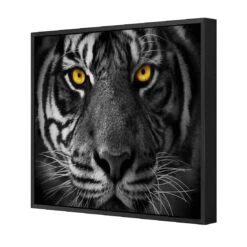 Cat Stare Canvas Art -WALL ART DESGIN SALE cat stare canvas art 30x30cm black frame 487596
