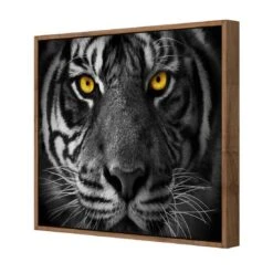 Cat Stare Canvas Art -WALL ART DESGIN SALE cat stare canvas art 30x30cm natural frame 664272