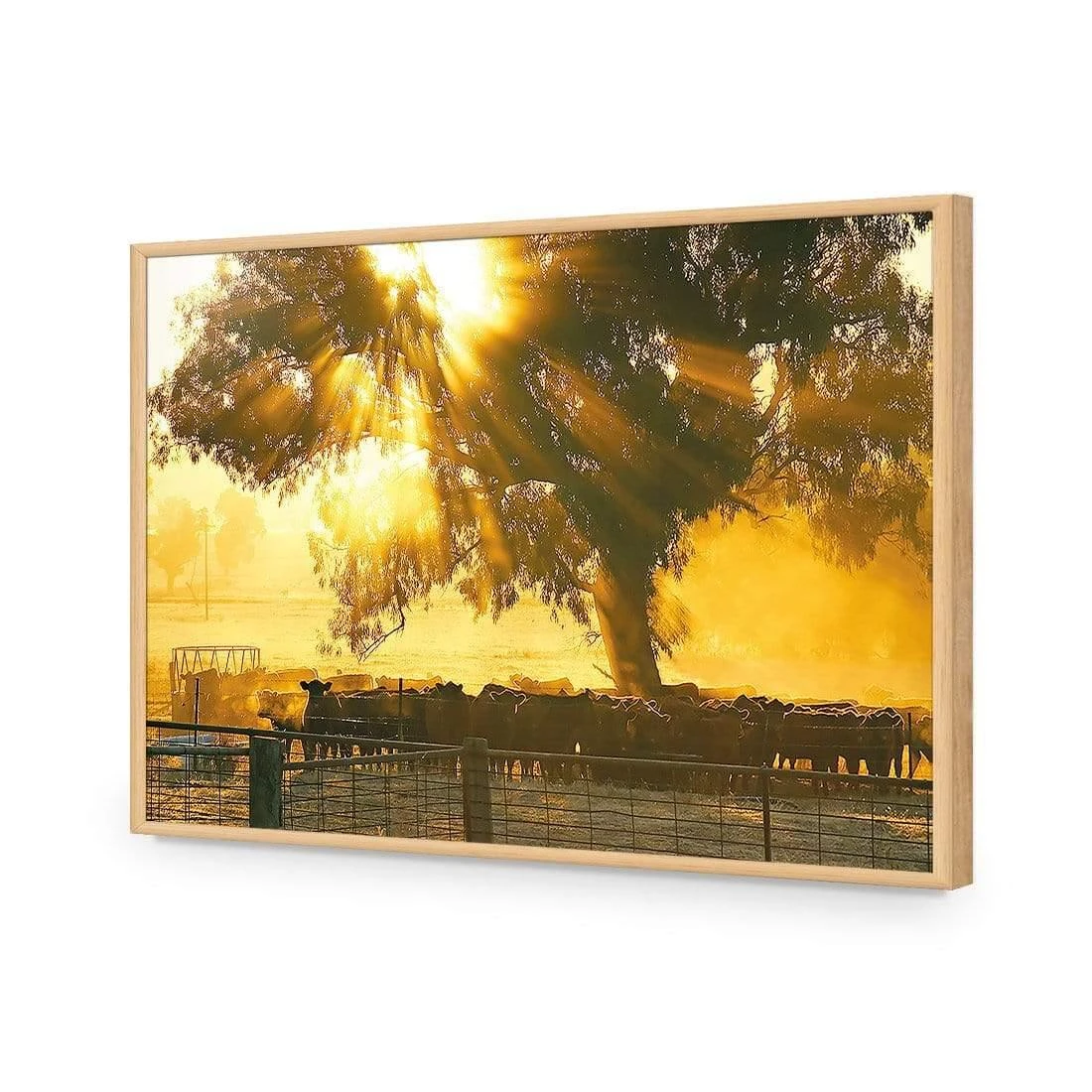 Cattle Ranch Cattle Ranch -WALL ART DESGIN SALE cattle ranch acrylic glass no border oak frame 45x30cm 232430
