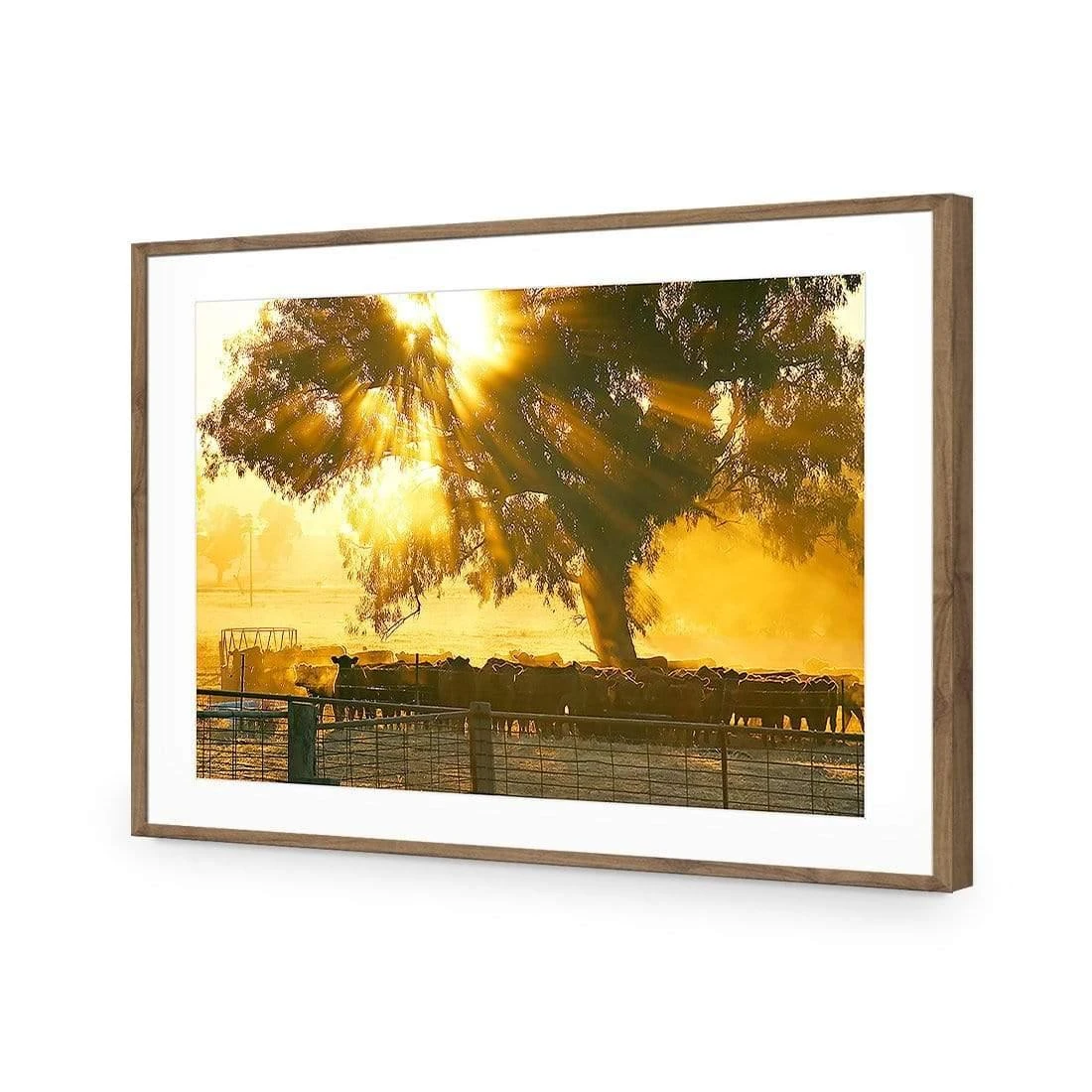 Cattle Ranch Cattle Ranch -WALL ART DESGIN SALE cattle ranch acrylic glass with border natural frame 45x30cm 666750