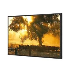 Cattle Ranch 4 Cattle Ranch -WALL ART DESGIN SALE cattle ranch canvas black floating frame 45x30cm 639155
