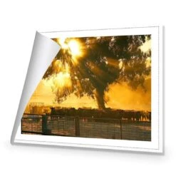 Cattle Ranch 8 Cattle Ranch -WALL ART DESGIN SALE cattle ranch canvas rolled canvas 45x30cm 552766