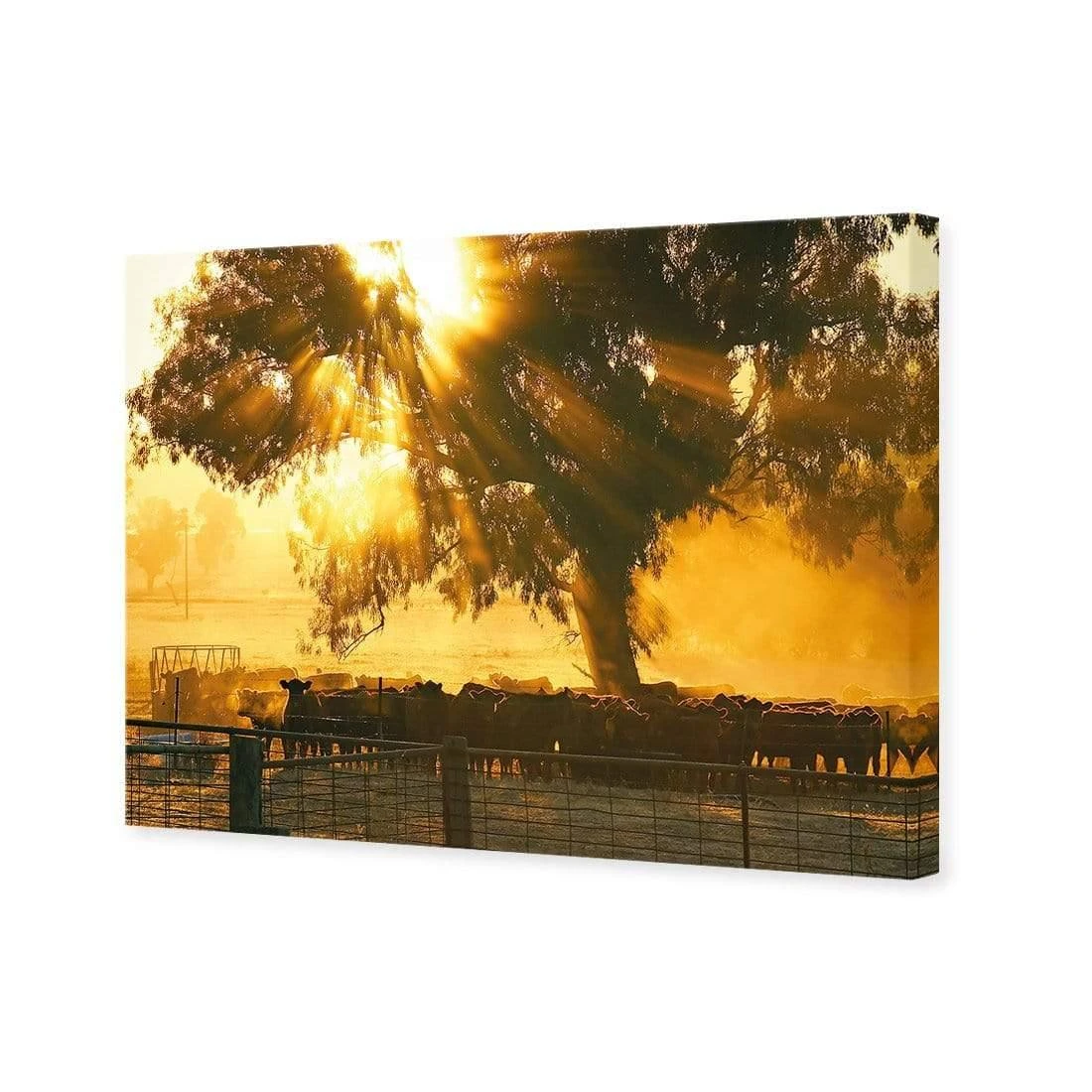 Cattle Ranch Cattle Ranch -WALL ART DESGIN SALE cattle ranch canvas stretched canvas 45x30cm 880854