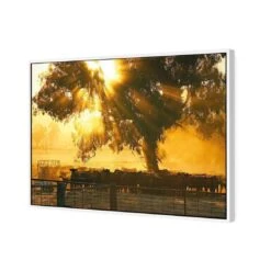 Cattle Ranch 5 Cattle Ranch -WALL ART DESGIN SALE cattle ranch canvas white floating frame 45x30cm 229583