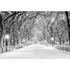 Central Park Dawn In Snow Canvas Art 1 Central Park Dawn In Snow Canvas Art -WALL ART DESGIN SALE central park dawn in snow canvas art 45x30cm no frame 751964