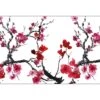 Cherry Blossom Acrylic Print Art