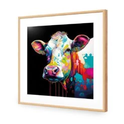 CMY Cow 12 CMY Cow -WALL ART DESGIN SALE cmy cow acrylic glass with border oak frame 37x37cm 439220
