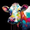 CMY Cow 1 CMY Cow -WALL ART DESGIN SALE cmy cow canvas stretched canvas 37x37cm 450029