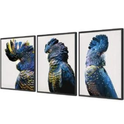 Cockatoos Trio Art Set 15 Cockatoos Trio Art Set -WALL ART DESGIN SALE cockatoos trio art set acrylic glass no border black floating frame 59x40cm 917800