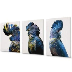 Cockatoos Trio Art Set 14 Cockatoos Trio Art Set -WALL ART DESGIN SALE cockatoos trio art set acrylic glass no border no frame 59x40cm 303998