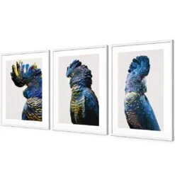 Cockatoos Trio Art Set 11 Cockatoos Trio Art Set -WALL ART DESGIN SALE cockatoos trio art set acrylic glass with border white floating frame 59x40cm 627035
