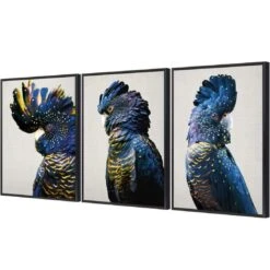 Cockatoos Trio Art Set 5 Cockatoos Trio Art Set -WALL ART DESGIN SALE cockatoos trio art set canvas black floating frame 59x40cm 632021