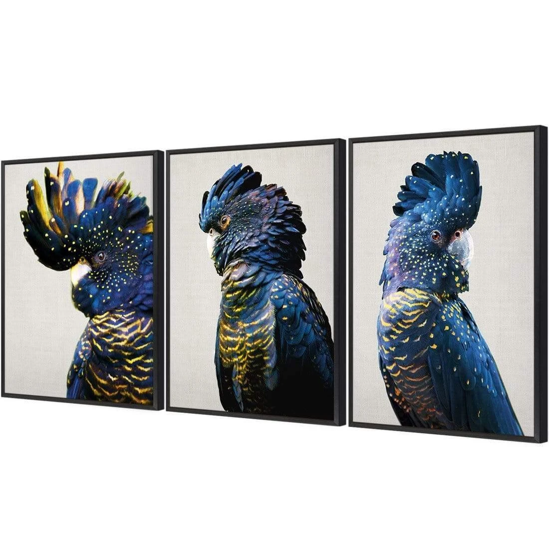 Cockatoos Trio Art Set Cockatoos Trio Art Set -WALL ART DESGIN SALE cockatoos trio art set canvas black floating frame 59x40cm 632021