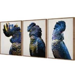 Cockatoos Trio Art Set 8 Cockatoos Trio Art Set -WALL ART DESGIN SALE cockatoos trio art set canvas natural floating frame 59x40cm 792812