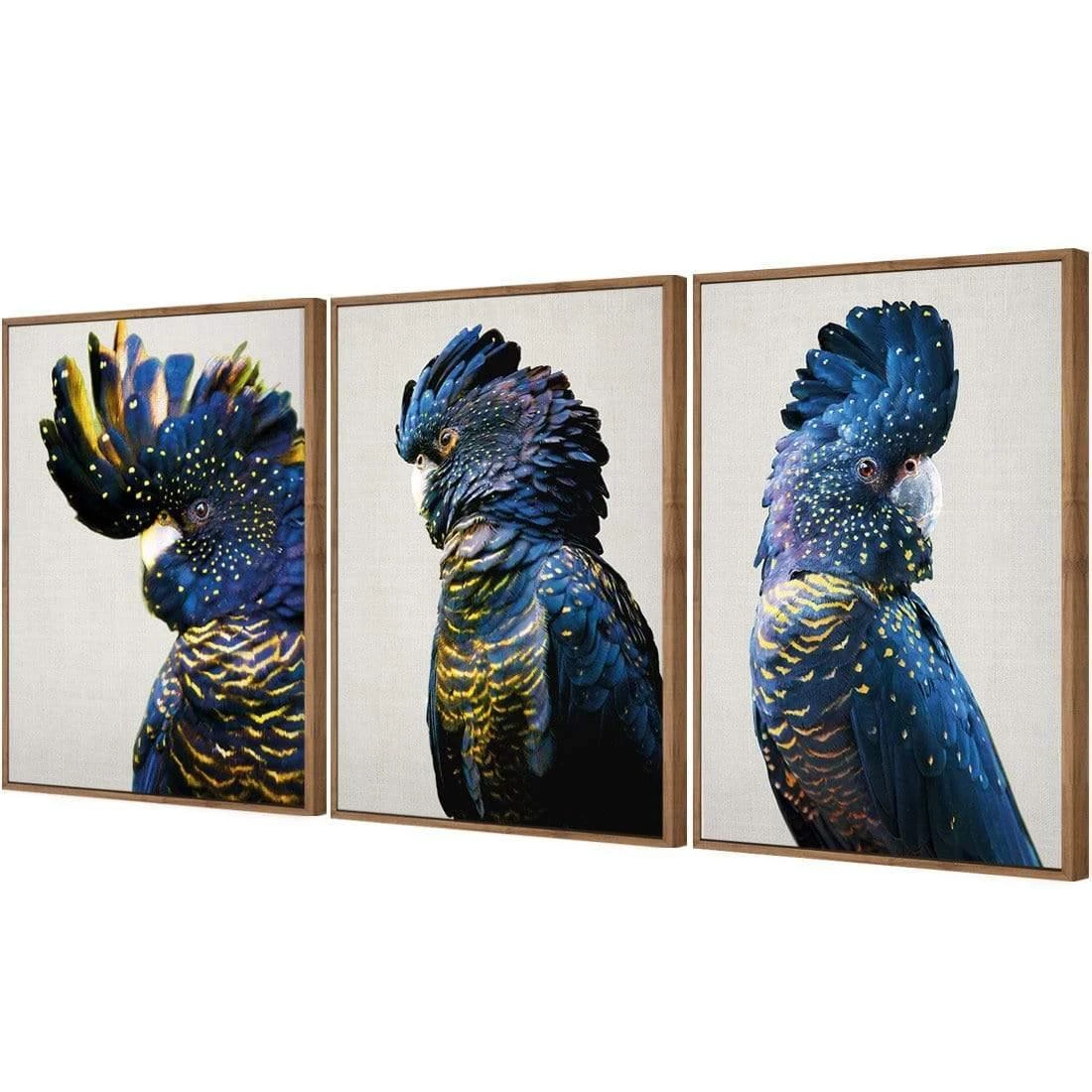 Cockatoos Trio Art Set Cockatoos Trio Art Set -WALL ART DESGIN SALE cockatoos trio art set canvas natural floating frame 59x40cm 792812