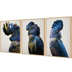 Cockatoos Trio Art Set 7 Cockatoos Trio Art Set -WALL ART DESGIN SALE cockatoos trio art set canvas oak floating frame 59x40cm 899913