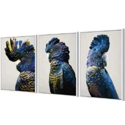 Cockatoos Trio Art Set 6 Cockatoos Trio Art Set -WALL ART DESGIN SALE cockatoos trio art set canvas white floating frame 59x40cm 245332