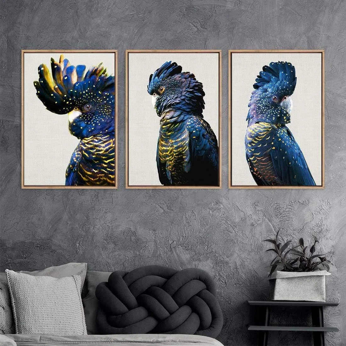 Cockatoos Trio Art Set Cockatoos Trio Art Set -WALL ART DESGIN SALE cockatoos trio art set stretched canvas no frame canvas 59x40cm 139160