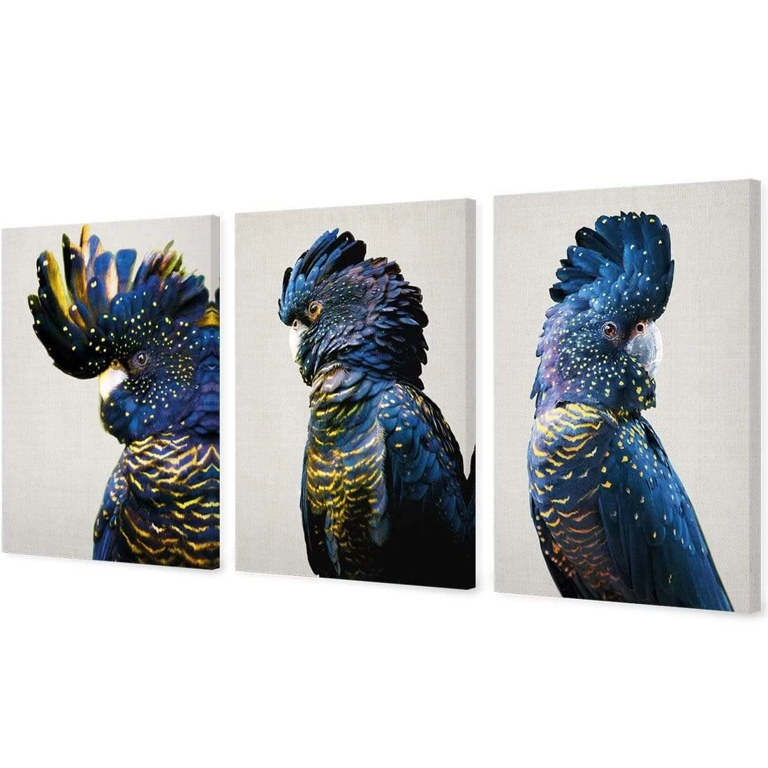 Cockatoos Trio Art Set Cockatoos Trio Art Set -WALL ART DESGIN SALE cockatoos trio art set stretched canvas no frame canvas 59x40cm 888495