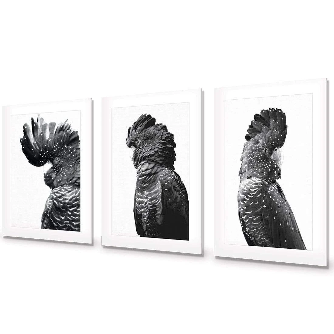 Cockatoos Trio, B&W Art Set Cockatoos Trio, B&W Art Set -WALL ART DESGIN SALE cockatoos trio bw art set acrylic glass with border no frame 59x40cm 831445