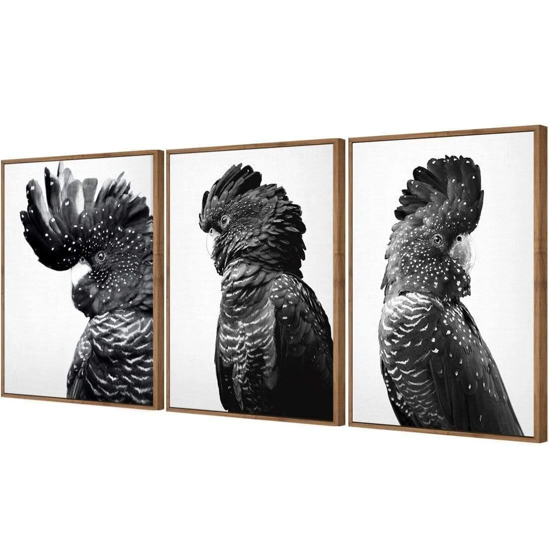 Cockatoos Trio, B&W Art Set Cockatoos Trio, B&W Art Set -WALL ART DESGIN SALE cockatoos trio bw art set canvas natural floating frame 59x40cm 326221