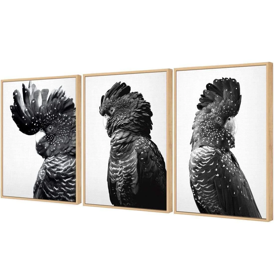 Cockatoos Trio, B&W Art Set Cockatoos Trio, B&W Art Set -WALL ART DESGIN SALE cockatoos trio bw art set canvas oak floating frame 59x40cm 659517