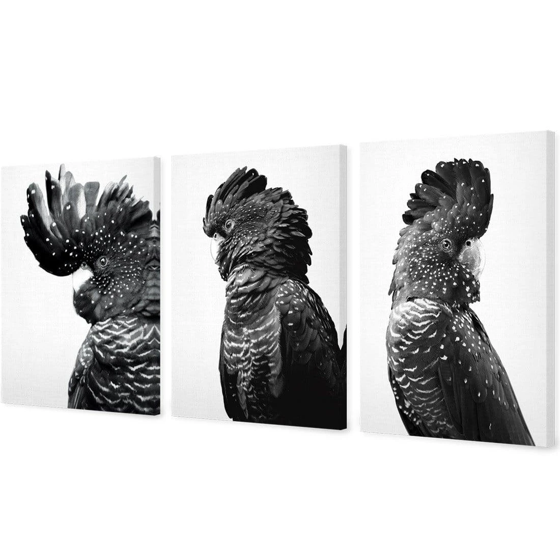 Cockatoos Trio, B&W Art Set Cockatoos Trio, B&W Art Set -WALL ART DESGIN SALE cockatoos trio bw art set stretched canvas no frame canvas 59x40cm 202237
