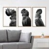Cockatoos Trio, B&W Art Set 2 Cockatoos Trio, B&W Art Set -WALL ART DESGIN SALE cockatoos trio bw art set stretched canvas no frame canvas 59x40cm 716188