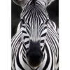 Concerned Zebra -WALL ART DESGIN SALE concerned zebra canvas stretched canvas 45x30cm 230159