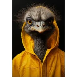 Cool Aussie Animals - Art Set Of Four 7 Cool Aussie Animals - Art Set Of Four -WALL ART DESGIN SALE cool aussie animals art set of four canvas stretched canvas 45x30cm 214636