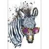 Cool Zebra Acrylic Print Art 2 Cool Zebra Acrylic Print Art -WALL ART DESGIN SALE cool zebra acrylic glass art with border no frame 45x30cm 351557