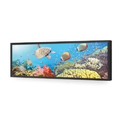 Coral Sea (Long) 15 Coral Sea (Long) -WALL ART DESGIN SALE coral sea long acrylic glass no border black frame 90x30cm 224115