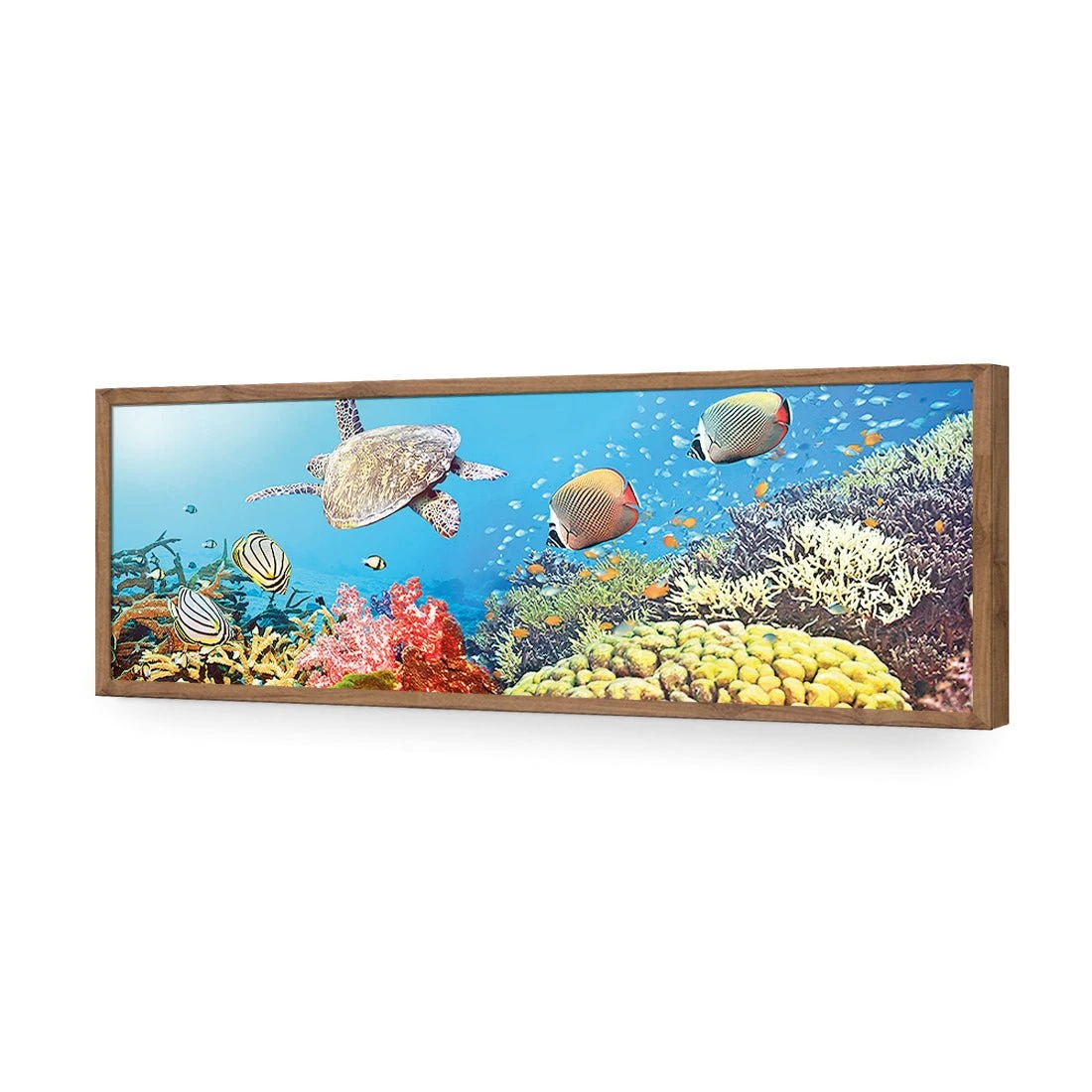 Coral Sea (Long) Coral Sea (Long) -WALL ART DESGIN SALE coral sea long acrylic glass no border natural frame 90x30cm 886092